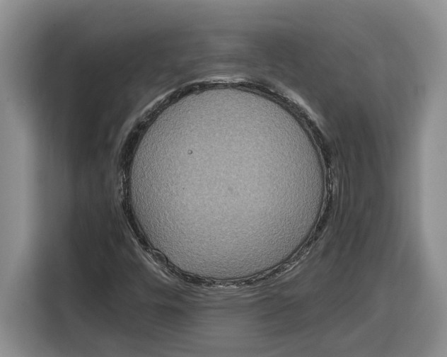 X0000115121448200911241338