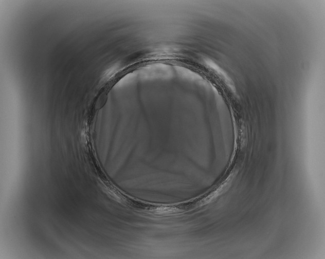 X0000115121449200911241338