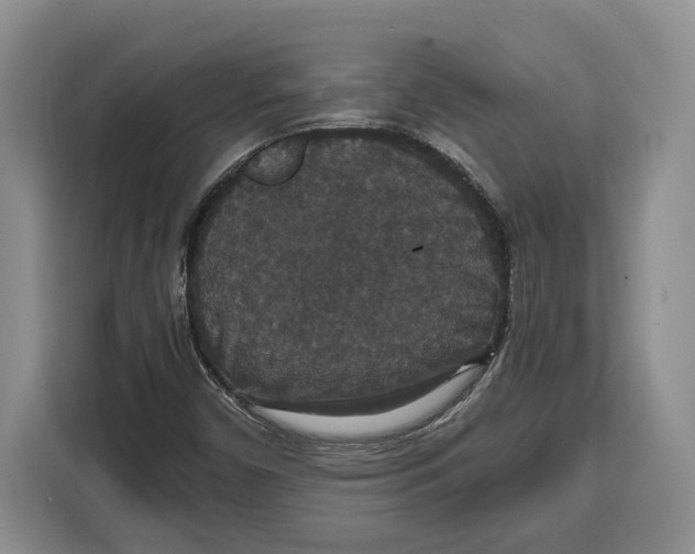 X0000115121450200911241338