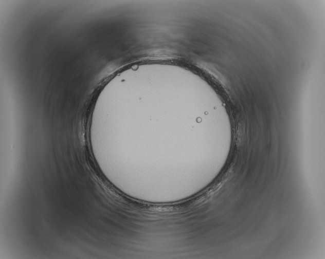 X0000115121451200911241338