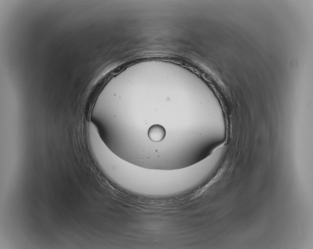 X0000115121453200911241338