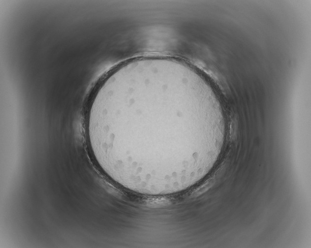 X0000115121454200911241338