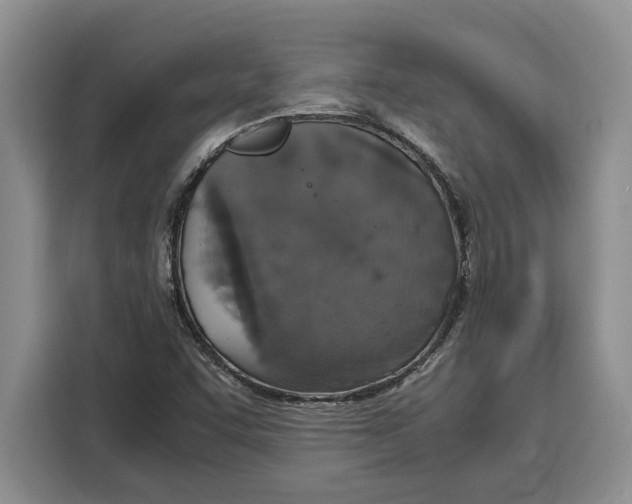 X0000115121455200911241338