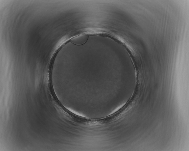 X0000115121459200911241337