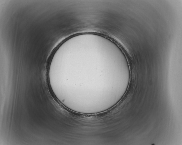 X0000115121460200911241337
