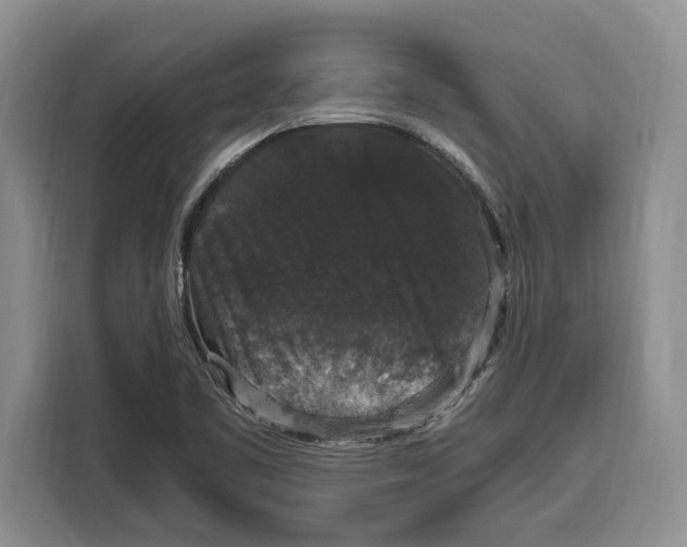 X0000115121461200911241337