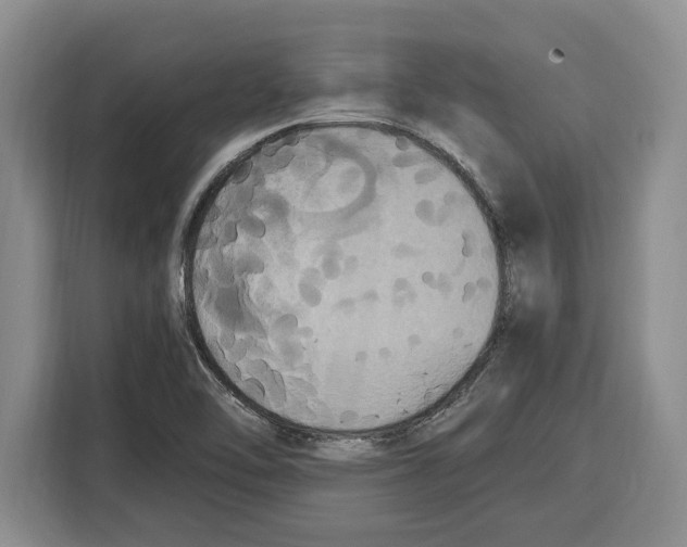 X0000115121462200911241337