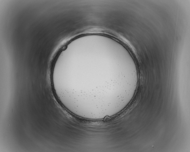 X0000115121464200911241337
