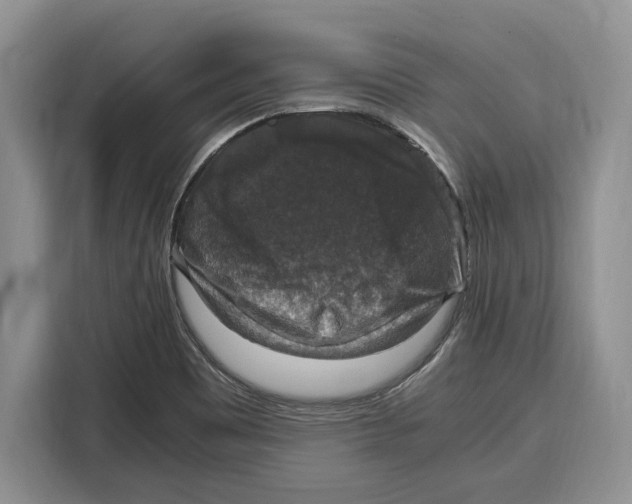 X0000115121465200911241337