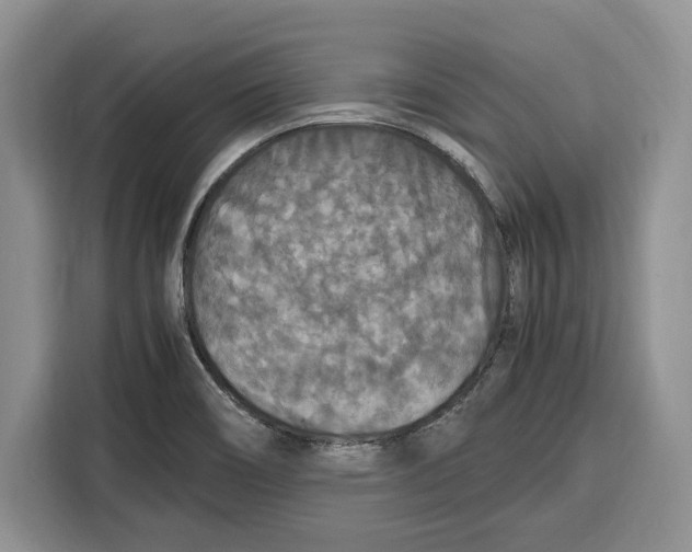 X0000115121466200911241337