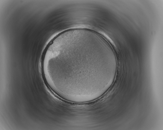 X0000115121468200911241337