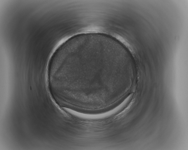 X0000115121469200911241337