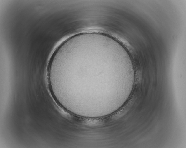 X0000115121470200911241337
