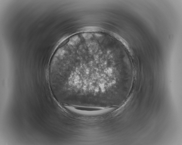 X0000115121473200911241337