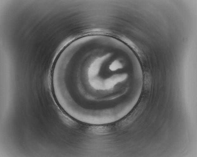 X0000115121474200911241337