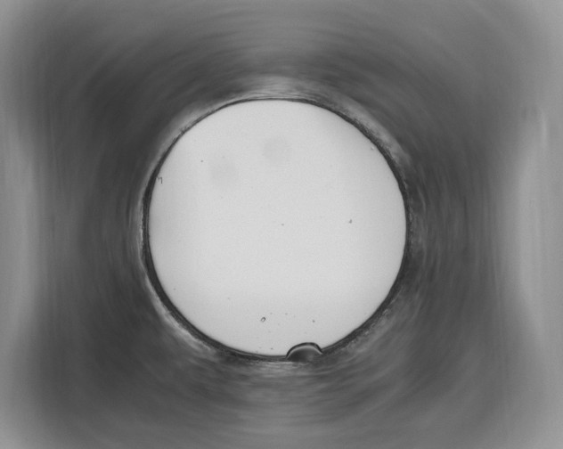 X0000115121479200911241337