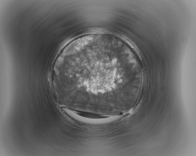 X0000115121481200911241337