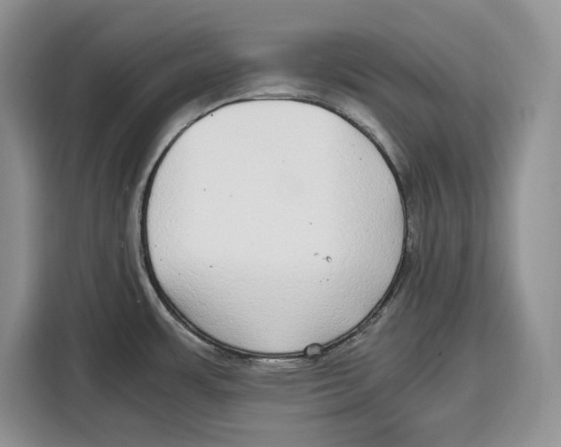 X0000115121483200911241337