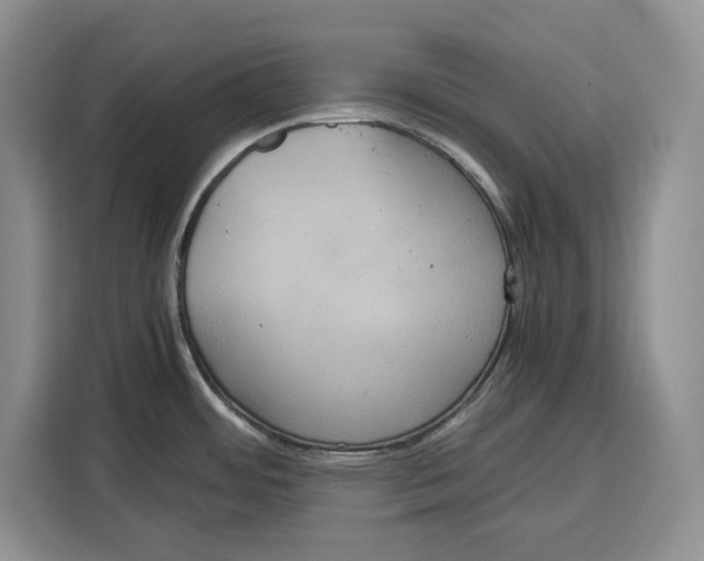 X0000115121484200911241337