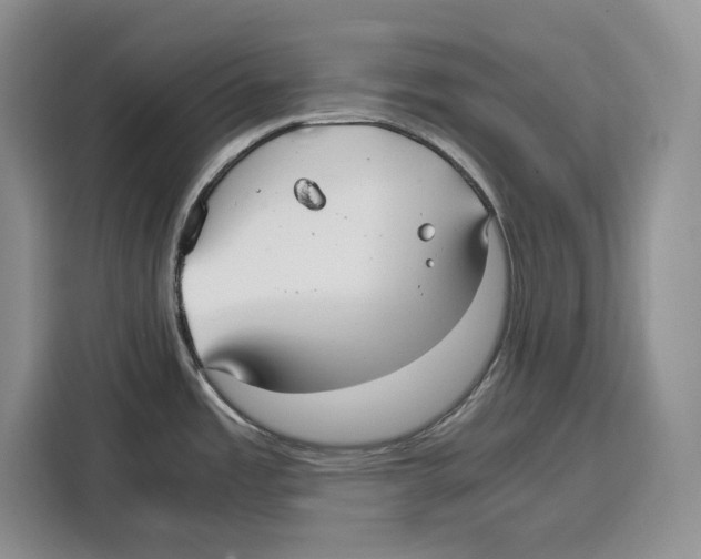 X0000115121485200911241337