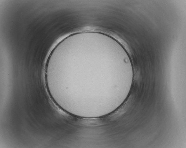 X0000115121486200911241337