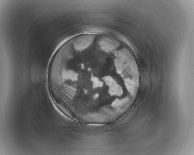 X0000115121487200911241337