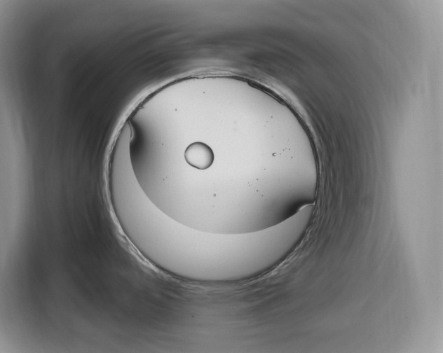 X0000115121488200911241337
