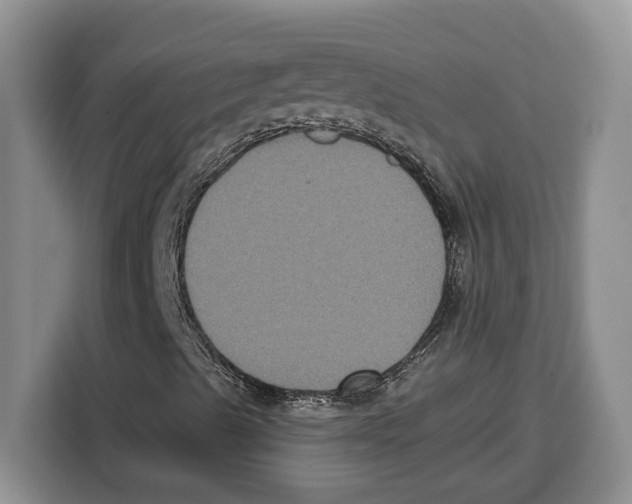 X0000115121489200911241336