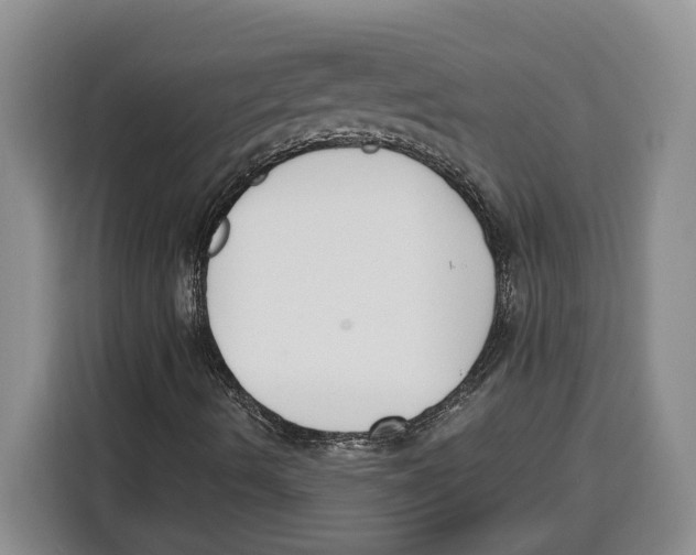 X0000115121490200911241336