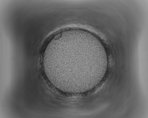 X0000115121494200911241337