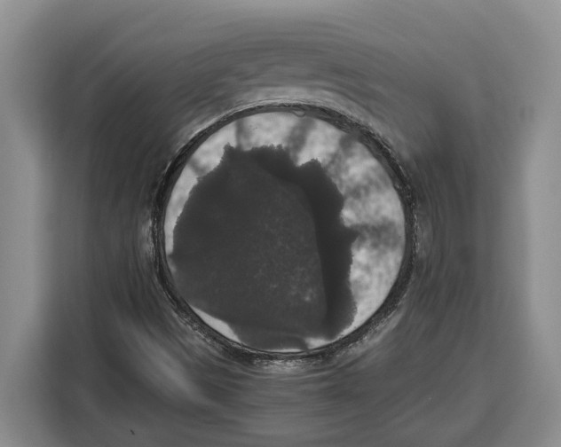 X0000115121497200911241337