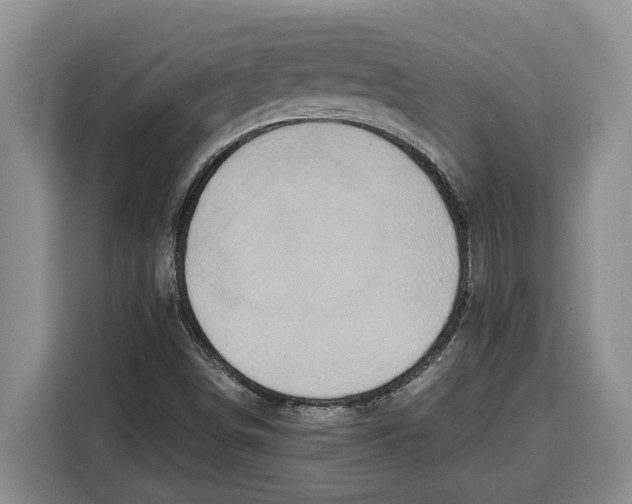 X0000115121498200911241337