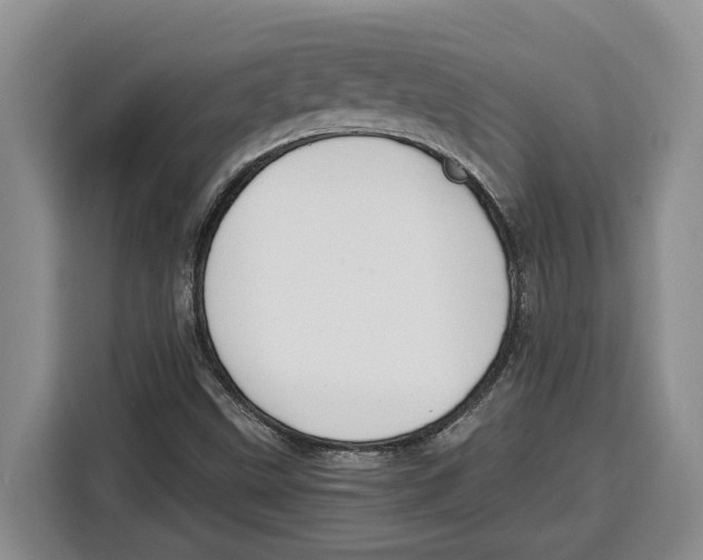 X0000115121499200911241337