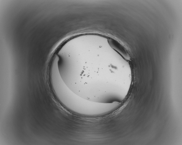 X0000115121502200911241337