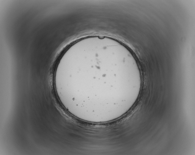X0000115121503200911241337