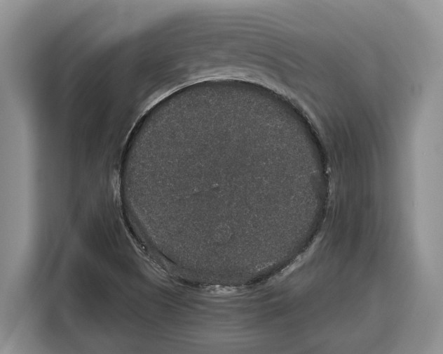 X0000115121505200911241337