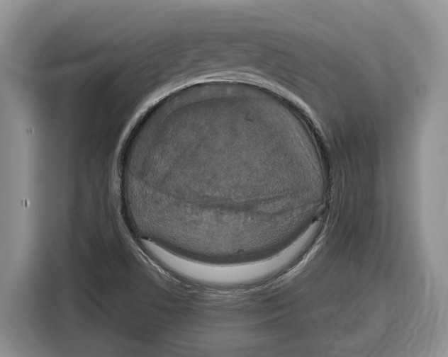 X0000115121506200911241337