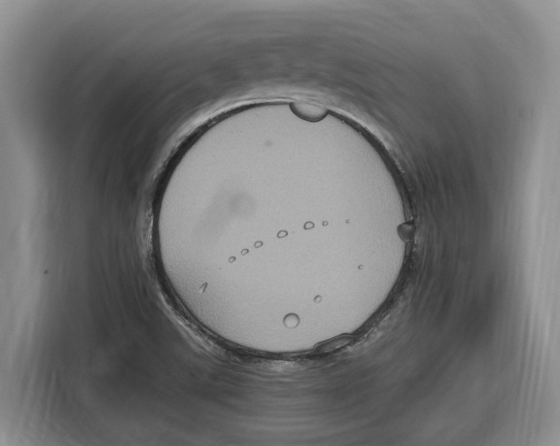 X0000115121507200911241337