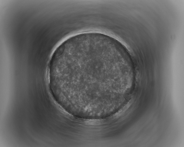 X0000115121510200911241337