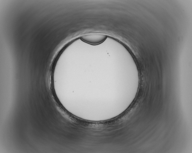 X0000115121511200911241337