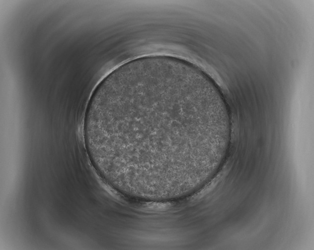 X0000115121513200911241337