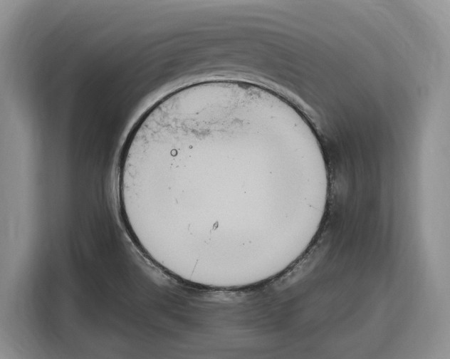 X0000115121514200911241337