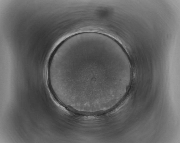 X0000115121515200911241337