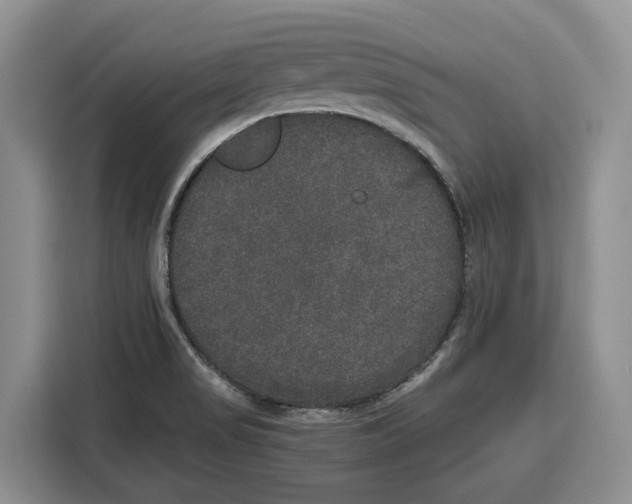 X0000115121517200911241337