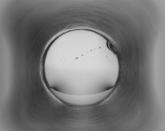 X0000115121518200911241337