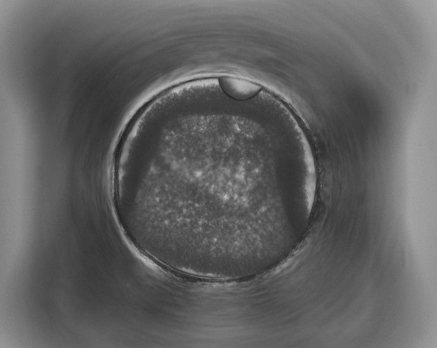 X0000115121519200911241337
