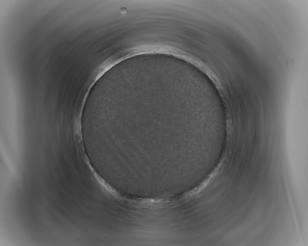 X0000115121521200911241337