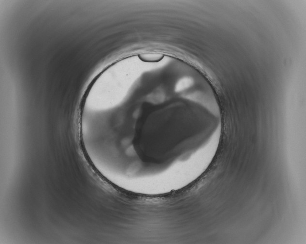 X0000115121522200911241337