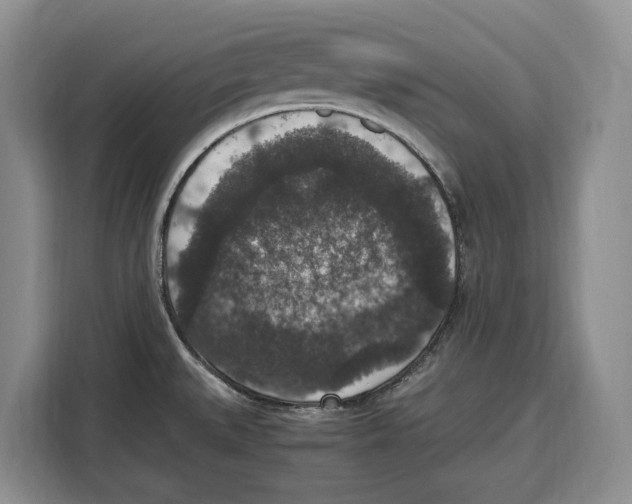 X0000115121527200911241337