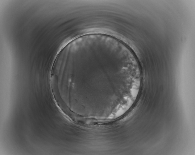 X0000115121529200911241337